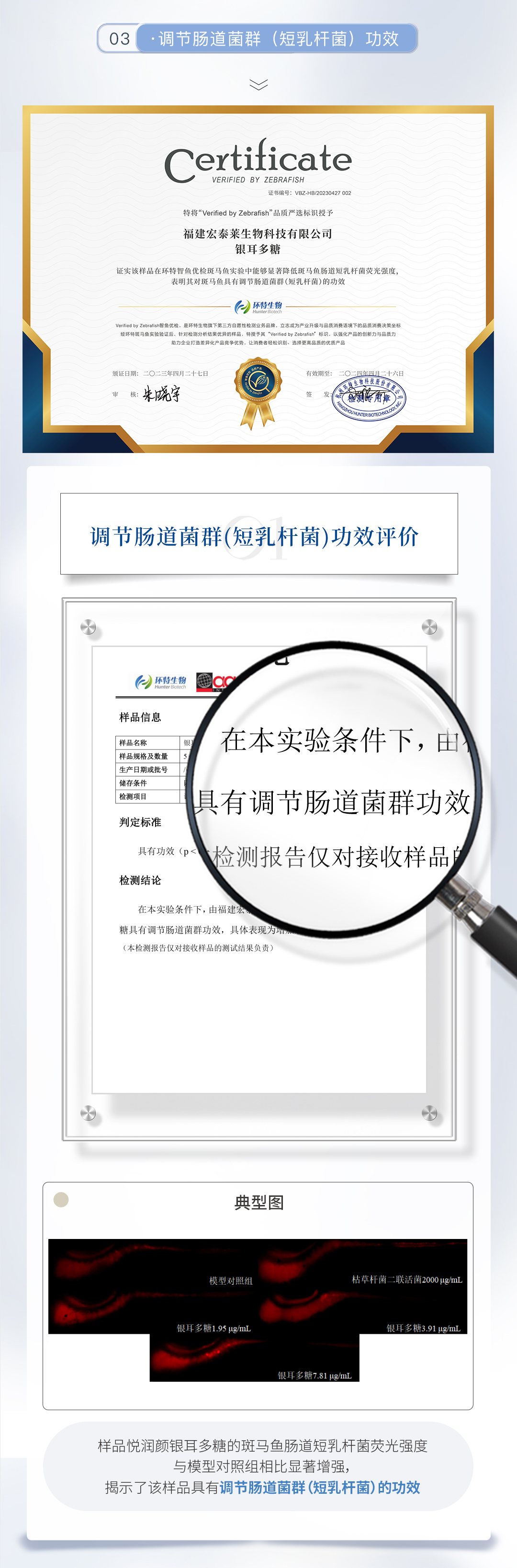 详情页-分页3.jpg